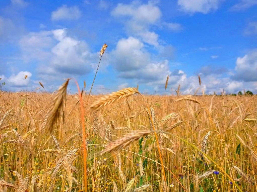 Туризм в Городищенском районе Пензенской области Достопримечательности Городищенского района